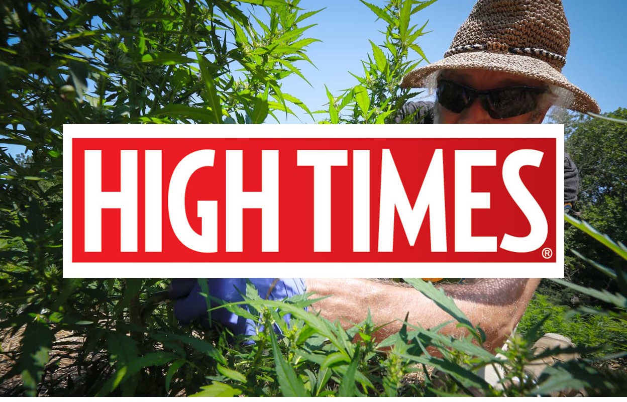 High Times: North Carolina Is Harvesting Its First Legal Hemp Crop in Decades
