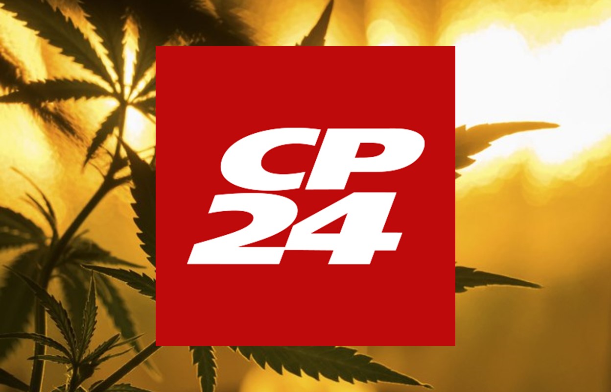 CP 24 Toronto: Herb CEO and Founder Matt Gray joins Toronto’s CP24 to discuss Cannabis Legalization in Canada